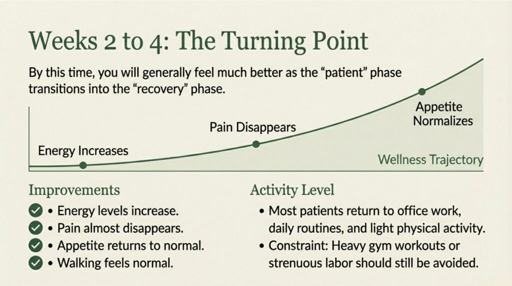 Robotic Surgery Recovery Roadmap Dr. Zaheen Khan Urologist and Robotic Surgeon